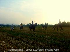 lovasok : Horse Photo